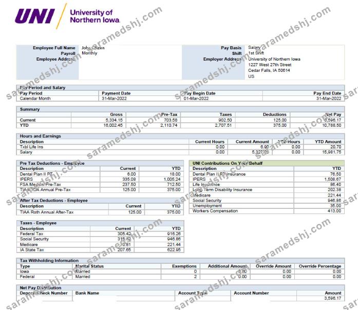 USA UNIVERSITY of Norther Iowa paystub in Excel and PDF formats